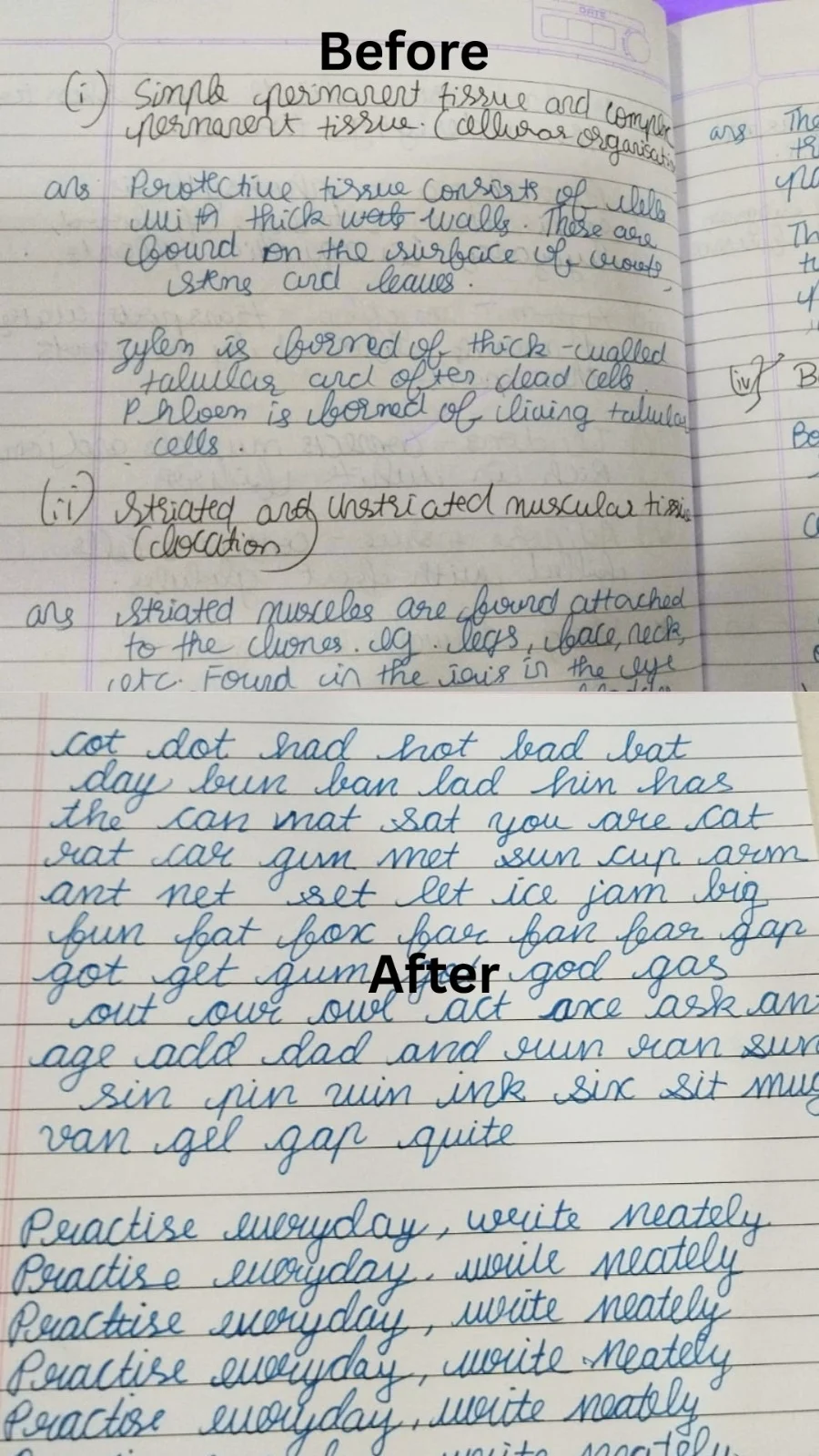 A child's handwriting sample from the first class compared with the last class, showing neater, more even letters